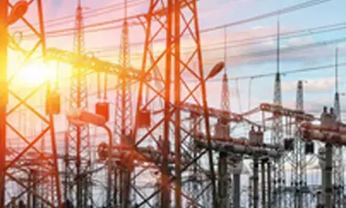 Fitch removes Adani Energy from Rating Watch Negative list, hails long-term revenue visibility