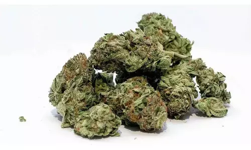 Chittoor Police Nab Ganja Peddler, Seize 8 kg of Contraband