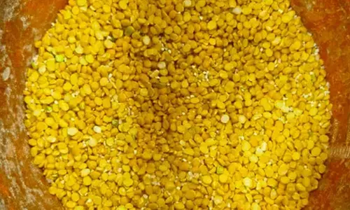 Rajasthan: Adulterated gram flour seized in Jaipur ahead of Holi