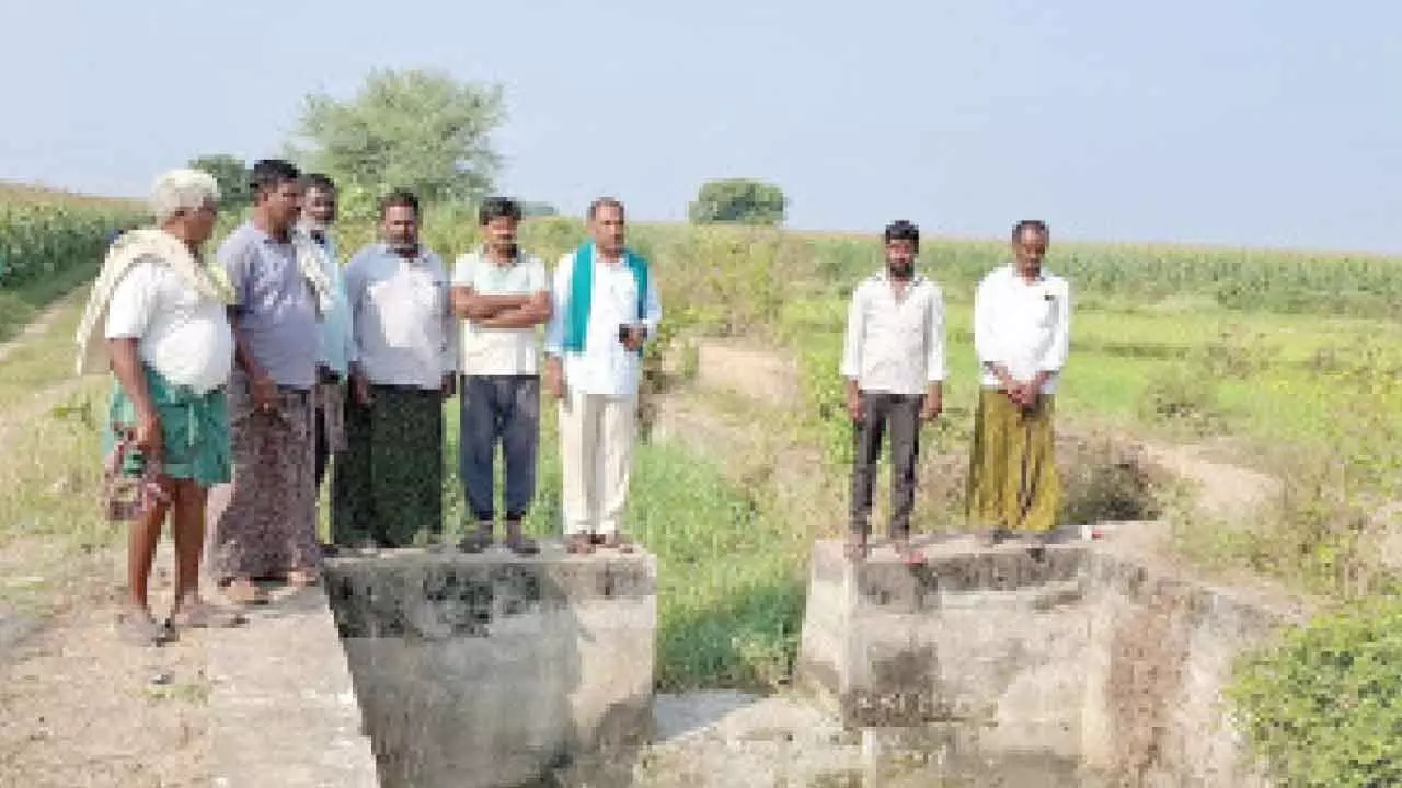 Warabandi leaves tail-end crops parched