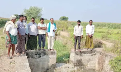 Warabandi leaves tail-end crops parched