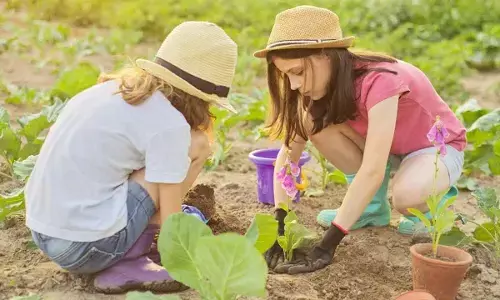 National Plant a Flower Day:  A blooming celebration of nature