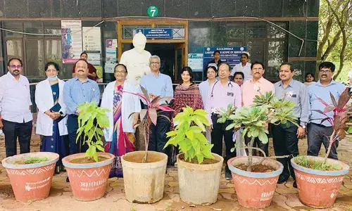 Kangaroo Mother Care Centres play a crucial role: Experts