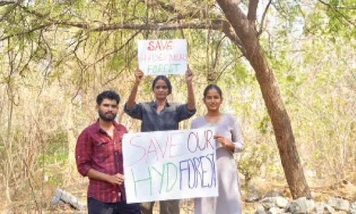 Kancha Gachibowli land: Activists launch campaign to preserve urban lung space