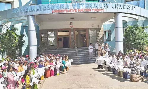 Veterinary students seek Chancellor’s intervention in securing stipend hike