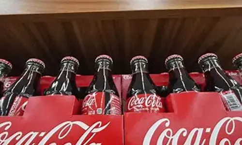 Ladhani Group to invest Rs 11K cr over 5 yrs