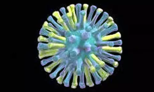 H5N1 mutation in US dairy herds prompts caution on pandemic potential