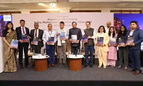 India must aim for 600 GW of clean energy by 2030, address current grid & ground-level challenges: CEEW