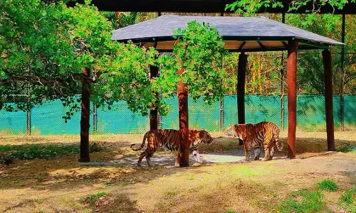 BBP Secures CSR Funds for Wildlife Shelters
