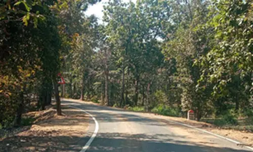 PLFI leader Durga Singh among three Maoists held in Jharkhand, weapons seized