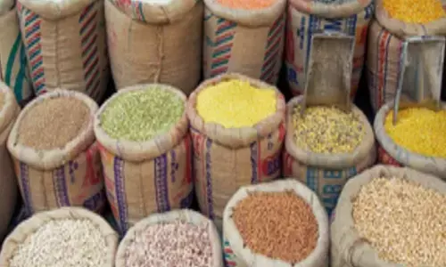 81.35 crore people to continue getting free foodgrains: Govt