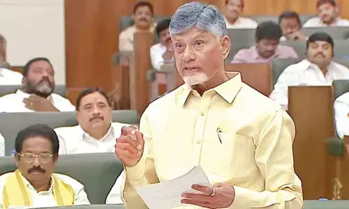 CM envisions AP meeting 100% power needs with solar