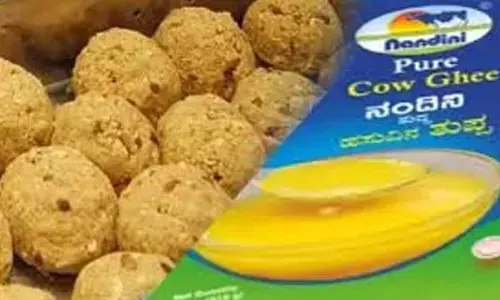 Tirumala Temple Seeks Additional 2,000 Tonnes of Nandini Ghee for Laddu Preparation