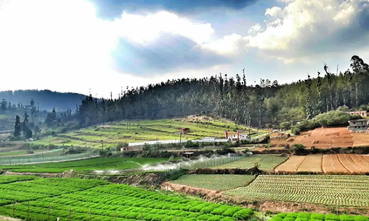 TN govt announces hill farmers development scheme in state Agriculture Budget 2025-26 TN govt announces hill farmers development scheme in state Agriculture Budget 2025-26