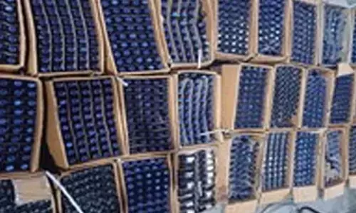 Vadodara SOG seizes illegal cough syrup worth Rs 5.78 lakh, two arrested