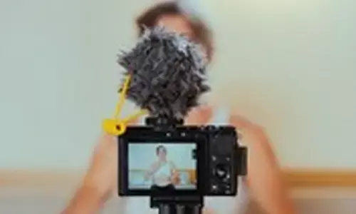 US influencer apologises after sparking outrage for picking up baby wombat