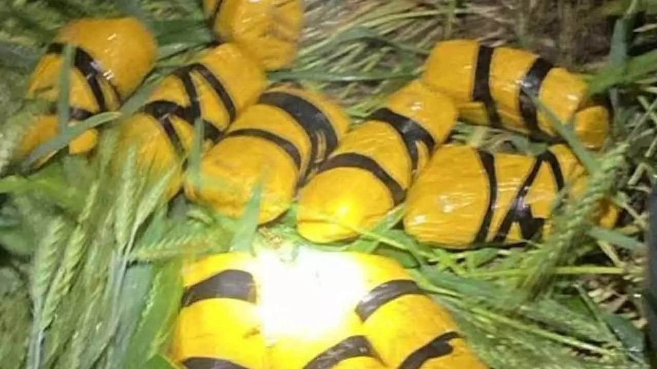 BSF Seizes 5.73 Kg Of Heroin Along India-Pakistan Border In Punjab BSF Seizes 5.73 Kg Of Heroin Along India-Pakistan Border In Punjab