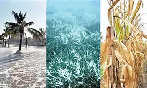 1.5°C: What it means & why it matters