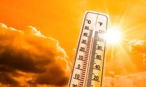 Heatwave returns to Raj as temp soars