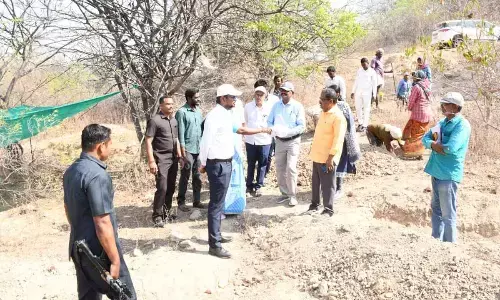 Wanaparthy collector calls for supply of power to farmers