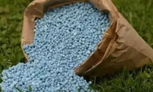 Govt giving extra fertiliser subsidy to farmers amid rise in global prices: Minister
