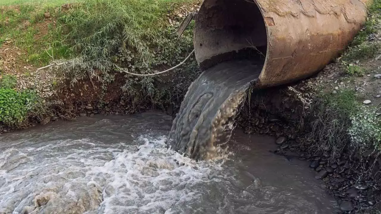 Chemical Pollution: No place is safe in today’s world Chemical Pollution: No place is safe in today’s world