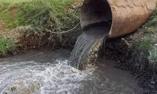 Chemical Pollution: No place is safe in today’s world