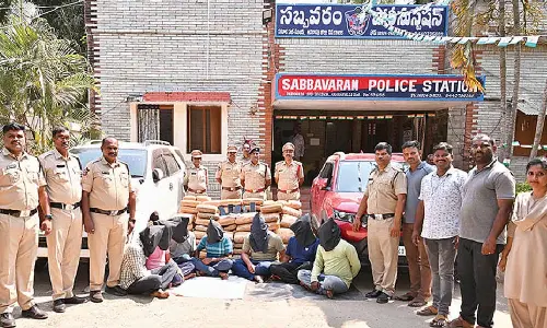 363 kg ganja seized, 7 held