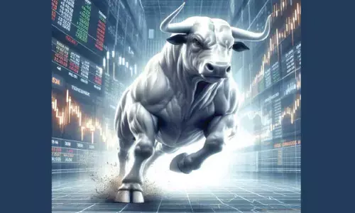 Global buoyancy spurs bull run on bourses