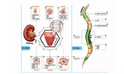 A clarion call for Ayurveda and historic feat by Patanjali