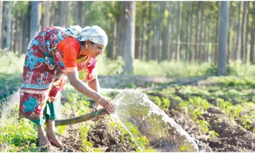 University of Birmingham, RySS to advance natural farming research