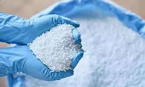Cabinet nod for Rs 10,601-cr urea plant in Assam