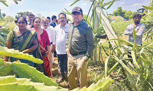 Aid for horticulture crops under MNREGS