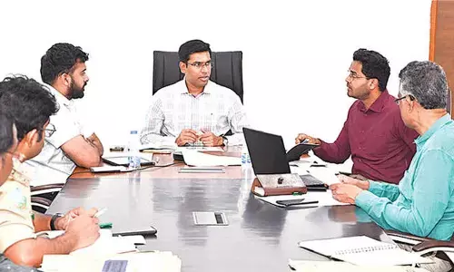 Concerted efforts needed to develop tourism destinations: Collector