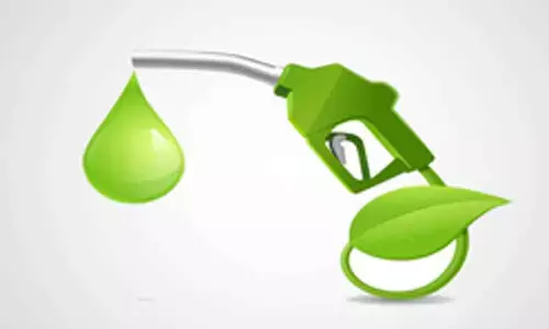 20 pc ethanol-blended petrol: No major issues with vehicle performance, says govt