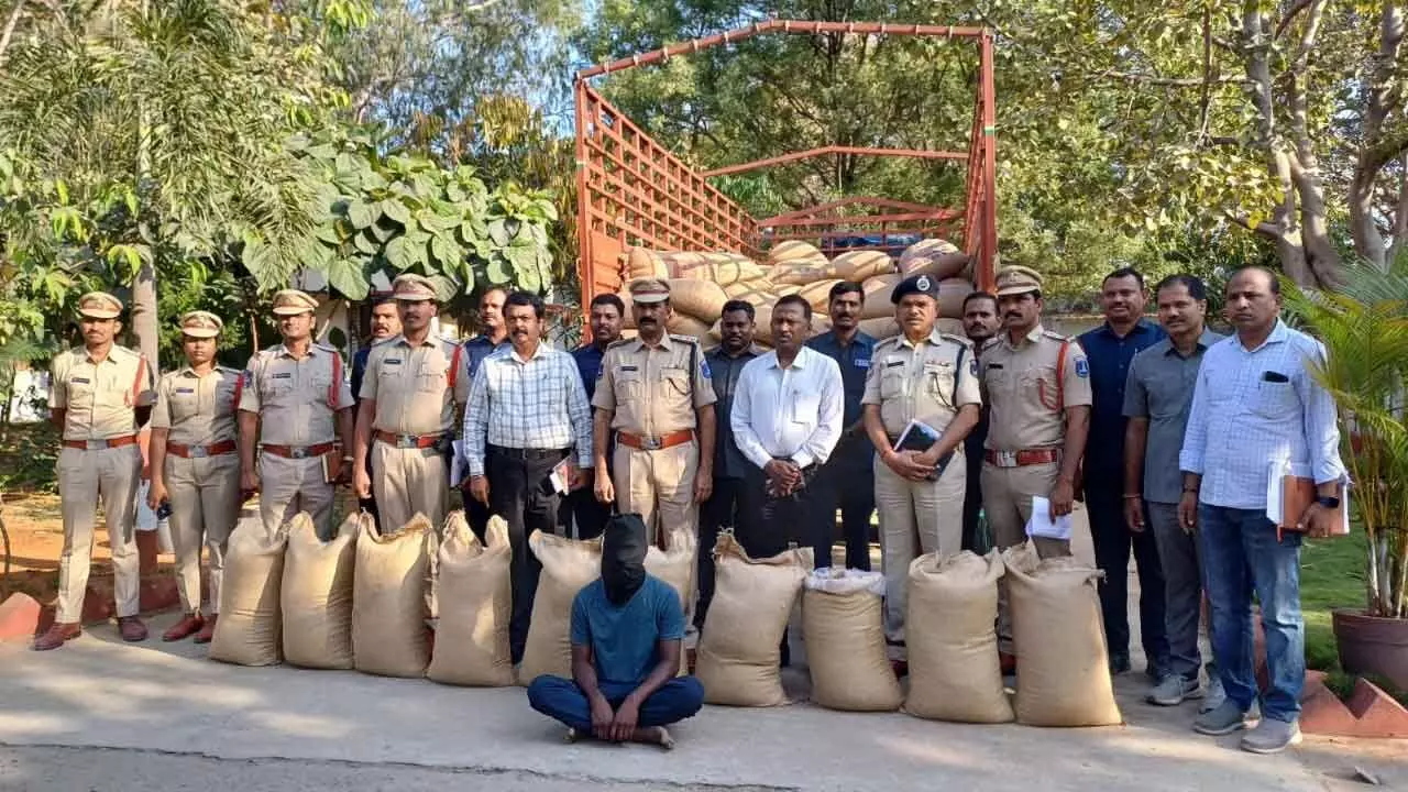 3,750 kg of prohibited BG-III cotton seeds seized 3,750 kg of prohibited BG-III cotton seeds seized