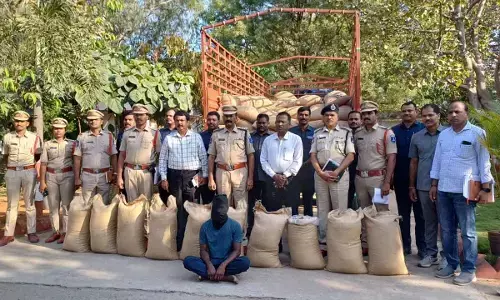 3,750 kg of prohibited BG-III cotton seeds seized