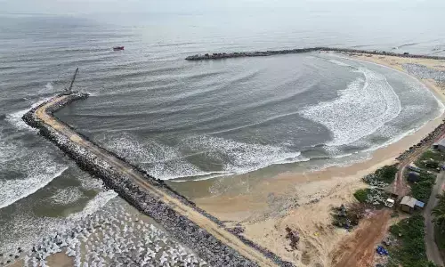 NMPA Urges Fisheries Director to Act