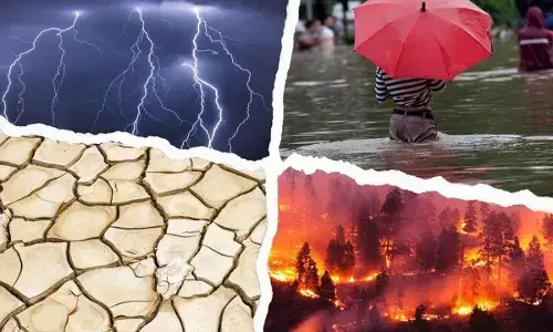 ‘Never Happened Before’:Last decade is the hottest on record