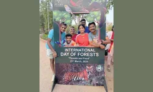 Forests are a crucial part of our ecosystem