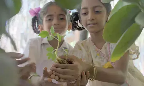 Connecting with students through ‘forest in your backyard’