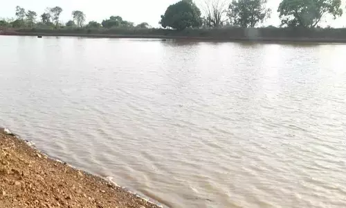 Dharwad district’s ‘Our Village, Our Lake’ initiative: A lifeline during summer