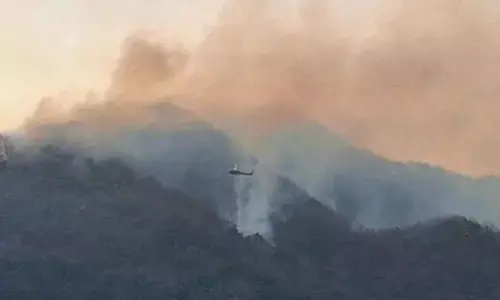 South Korea battles multiple wildfires in southeastern region amid strong dry winds