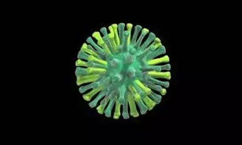 Young boy in Cambodia contracts H5N1 bird flu