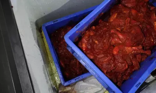 Hyderabad: Food Safety Violations Found at Mandi 36 Arabian