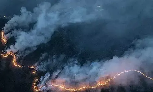 South Korean govt designates three more southeastern counties struck by wildfires as special disaster zones