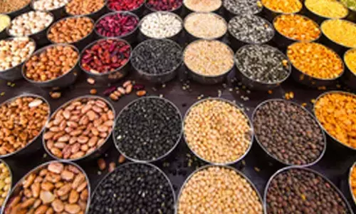 PM Modi govts higher MSP spend on pulses driving up production, exports