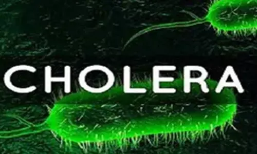 UN records over one lakh cholera cases in eastern, southern Africa in 14 months