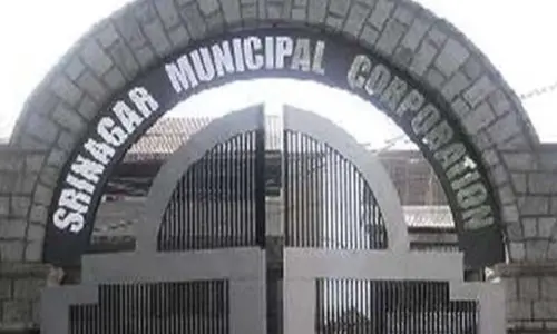 NGT contemplates civil action against 8 former Commissioners of Srinagar civic body
