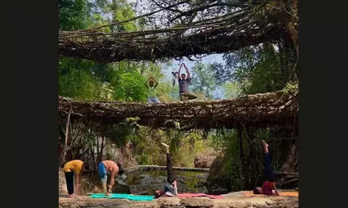 North Eastern Institute of Ayurveda and Homoeopathy organises Yoga event in Meghalaya
